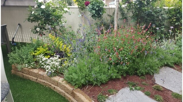 גינה של בית עם צמחים ודשא סינטטי